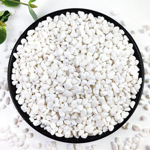 2LB Succulent and Cactus Gravel Pebbles, 1/5 Inch White Natural Decorative Polished Stones, White