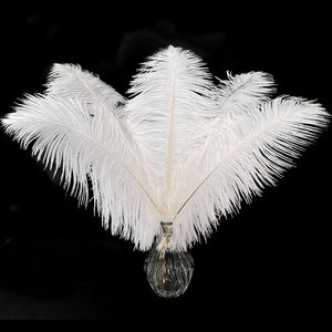 20 pcs White Ostrich Feathers Plumes 10-12 inch(25-30 cm) Bulk for DIY Clothing and Accessories, White