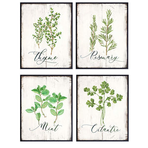 Botanical Herbs and Spices Kitchen Decor, 8x10 UNFRAMED