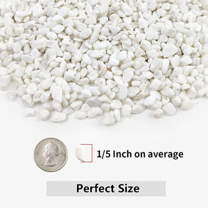 2LB Succulent and Cactus Gravel Pebbles, 1/5 Inch White Natural Decorative Polished Stones, White