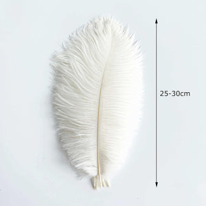 20 pcs White Ostrich Feathers Plumes 10-12 inch(25-30 cm) Bulk for DIY Clothing and Accessories, White
