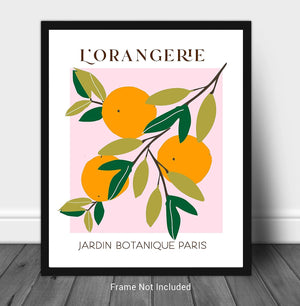 Abstract Fruit No.10 Oranges Exhibition Wall Art Print. 11x14 UNFRAMED, Modern Kitchen Wall Decor