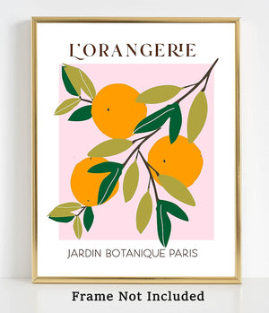 Abstract Fruit No.10 Oranges Exhibition Wall Art Print. 11x14 UNFRAMED, Modern Kitchen Wall Decor