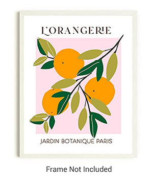 Abstract Fruit No.10 Oranges Exhibition Wall Art Print. 11x14 UNFRAMED, Modern Kitchen Wall Decor