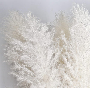 46" inch 10 Stems White Pampas Grass Decor Tall, Dry Flowers for Floor Vases Decor