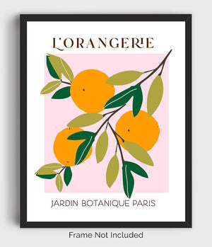 Abstract Fruit No.10 Oranges Exhibition Wall Art Print. 11x14 UNFRAMED, Modern Kitchen Wall Decor