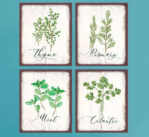 Botanical Herbs and Spices Kitchen Decor, 8x10 UNFRAMED