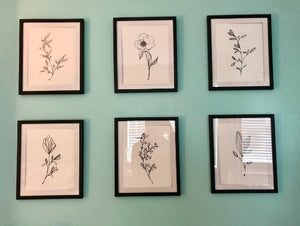 Botanical Plant Wall Art Prints, Black and White Kitchen Wall Decor (Set of 6, 8X10in, Unframed)